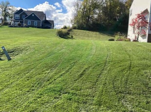 Carol W.'s Lawn Mowing Service service result