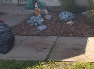 Bush Trimming by Melissa Pryor for Teresa G. in Oklahoma City, OK