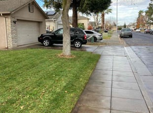 Leaf Removal by Alex Rodriguez for Aaron B. in Fresno, CA