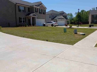Lisa H.'s Lawn Mowing service result