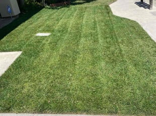 Rola R.'s Grass Cutting service result