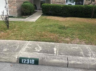 Bush Trimming by Chaes Pate for Brittany K. in San Antonio, TX
