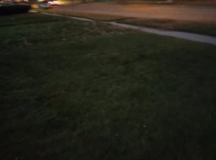 Leaf Removal by Nathaniel Dukes for Belinda B. in Milwaukee, WI