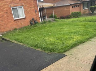 Walter H.'s Grass Cutting service result