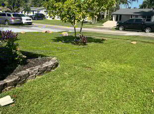 Myles S.'s Lawn Mowing Service service result