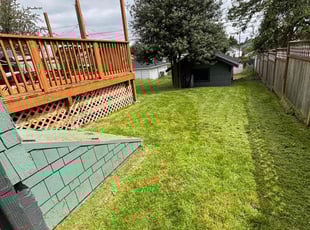Euvie N.'s Lawn Mowing service result