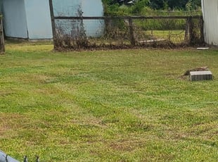 Weeding by Chad Nicholes for Alexsis H. in Lakeland, FL