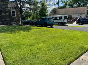 Diane M.'s Lawn Service service result