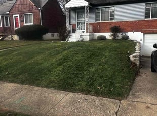 Bush Trimming by James Abernathy for Robert B. in Cincinnati, OH