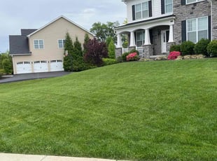 Ruth G.'s Yard Cutting service result