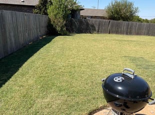 Alwyn D.'s Lawn Mowing Service service result