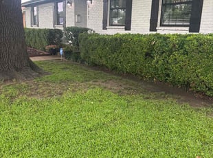 Bush Trimming by Victor/ Madeline Ramirez for Alex C. in Dallas, TX