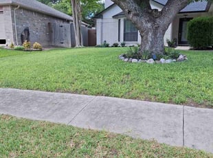 Monique A.'s Lawn Mowing service result