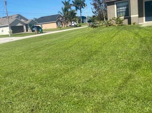 Vanessa g.'s Lawn Mowing Service service result