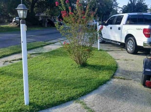 Albert R.'s Grass Cutting service result