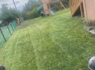 Clarence J.'s Lawn Mowing service result