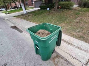 Leaf Removal by Jason Westgor for Charrisse M. in San Antonio, TX