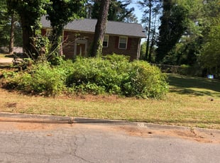 Bush Trimming by Louis Sampson for Chezelle J. in Marietta, GA