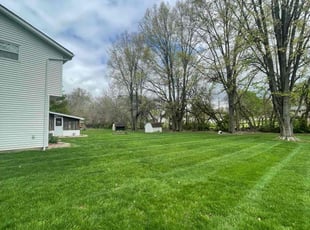 Kadiatu B.'s Lawn Mowing service result