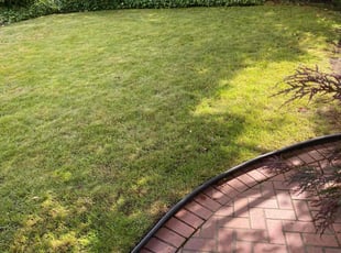 Dawne D.'s Lawn Mowing Service service result