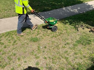 Landscaping by Jorge Yanez for Ben N. in North Aurora, IL