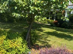 Carolyn G.'s Lawn Care service result