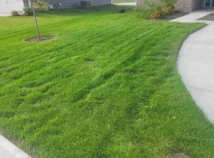 Dwain L.'s Lawn Service service result