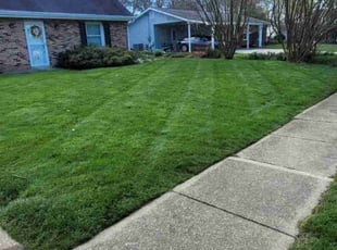 Tahtianna W.'s Lawn Mowing service result