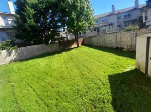 Crystal F.'s Yard Cutting service result