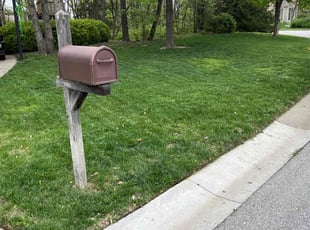 Frank N.'s Lawn Maintenance service result