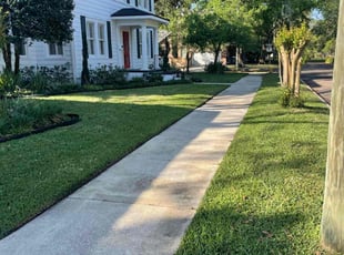 Carole P.'s Lawn Mowing Service service result