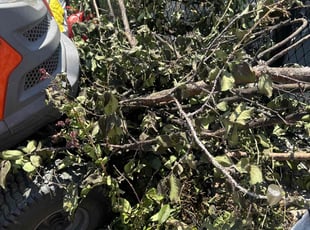 Leaf Removal by James Coward for Clifton R. in Richmond, VA