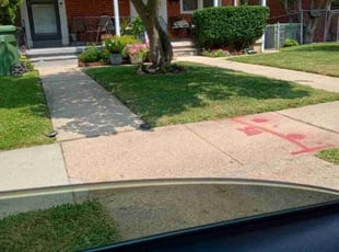 Natacha R.'s Lawn Mowing Service service result