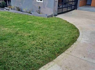 Andrea E.'s Lawn Mowing service result