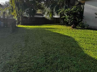 Sonia D.'s Yard Cutting service result