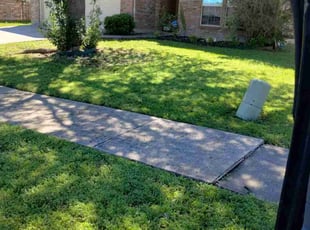 Leaf Removal by John Brown for Andrew G. in McKinney, TX