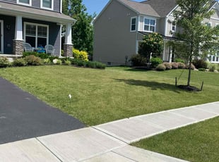 Susan b.'s Lawn Care service result