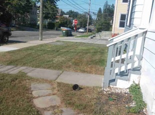 Patti Q.'s Lawn Mowing service result