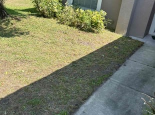 Bush Trimming by Genet Rena for Thaddeus R. in Orlando, FL