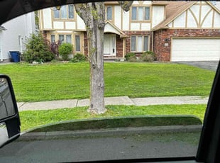 Carlos D.'s Grass Cutting service result