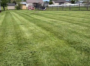 Phillip K.'s Yard Cutting service result