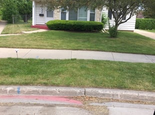 Bush Trimming by Don Stewart for Nicole M. in Milwaukee, WI