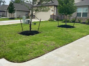 Caleb T.'s Lawn Mowing service result
