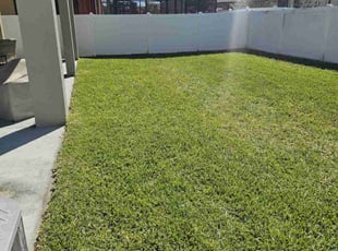 Lan A.'s Yard Cutting service result