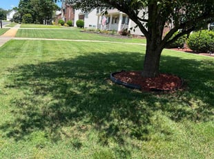 Portia M.'s Yard Cutting service result
