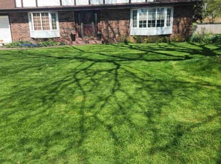 Shari K.'s Lawn Mowing Service service result