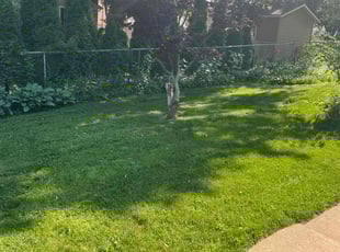Sven J.'s Lawn Service service result
