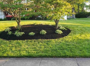 Mulching by Marvin Simmons for Marie C. in Dresher, PA