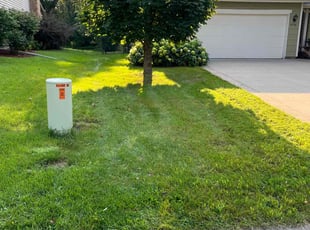 Robin P.'s Lawn Mowing service result