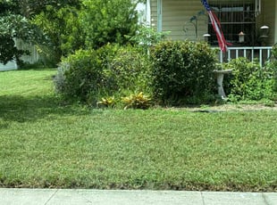 Theodore S.'s Lawn Care service result
